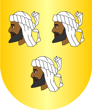 ESCUDO ALEATORIO